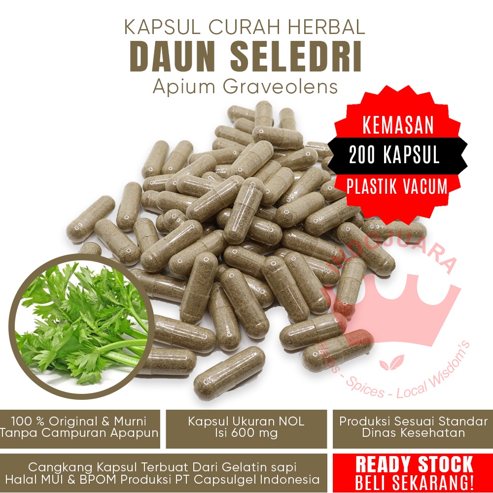 200 Kapsul DAUN SELEDRI Kapsul Herba Pembangkit Libido Penghilang Jerawat Ketombe