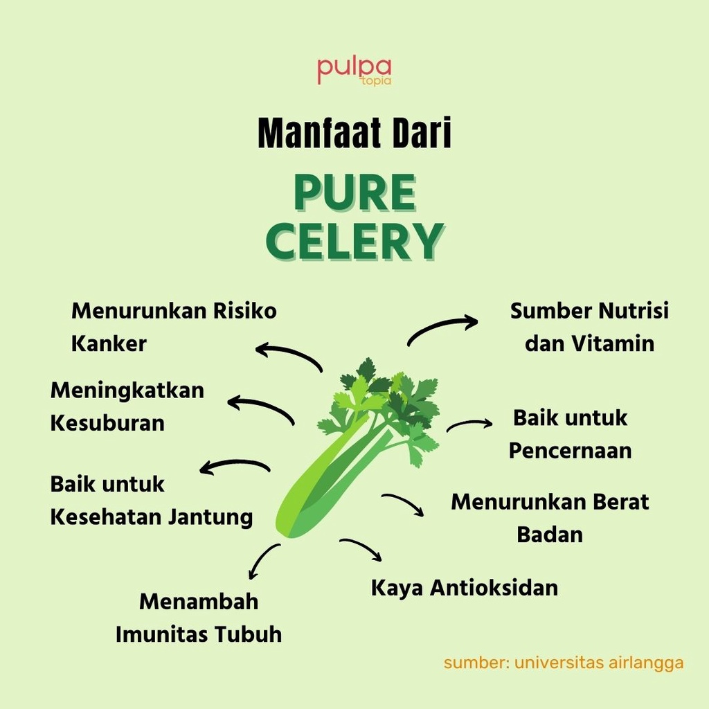 

Ay00! Cold Pressed Juice Pure Celery - Jus Sehat Detox Diet Natural Sayur Buah 250ml 500ml 1000ml