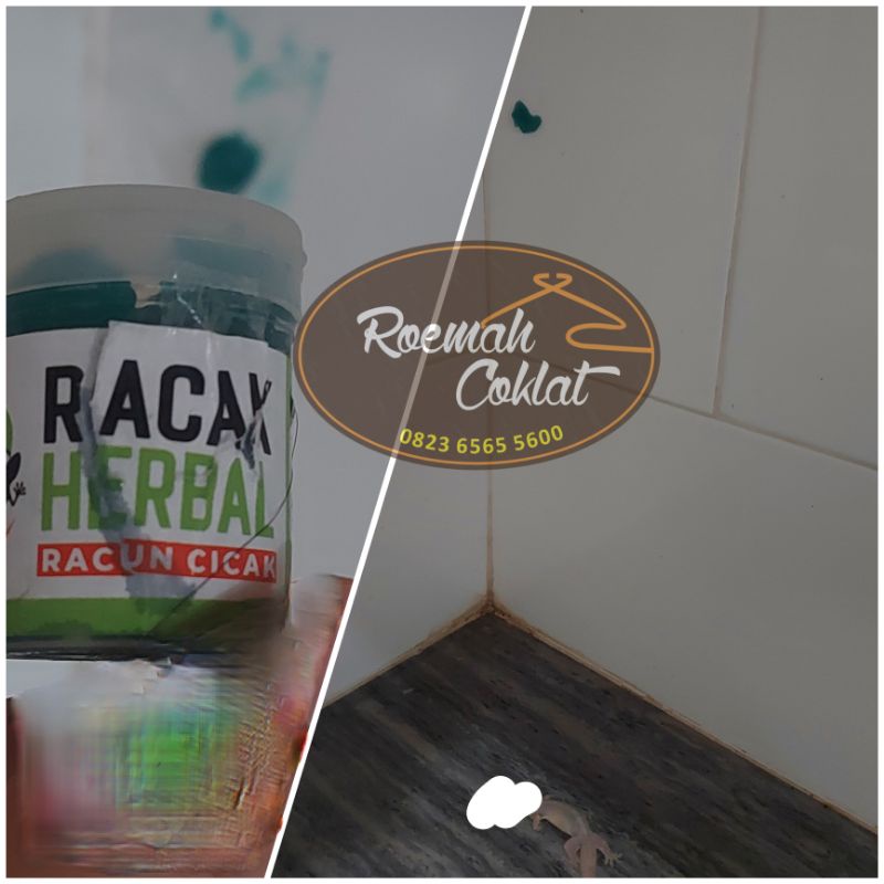 RACAK (Racun Cicak) Herbal