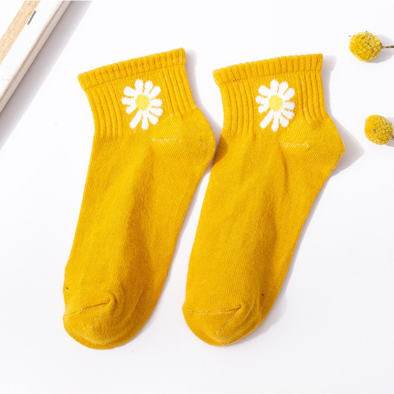 Kaos Kaki Bear Brown dan Daisy Pendek Mata Kaki Wanita Lucu Unik-8