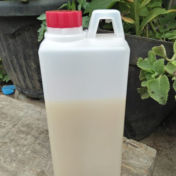 

madu asli lanceng putih,madu klanceng murni dari hutan baduy 1kg
