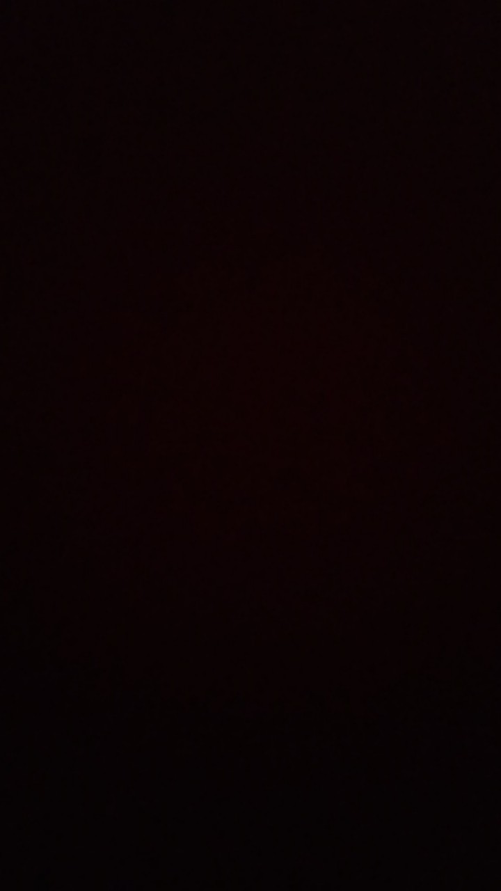 Bibit Cerry Bibit Cery Bibit Ceri Vietnam