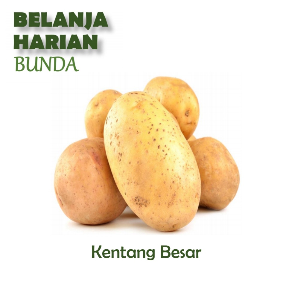 

kentang besar 500gr