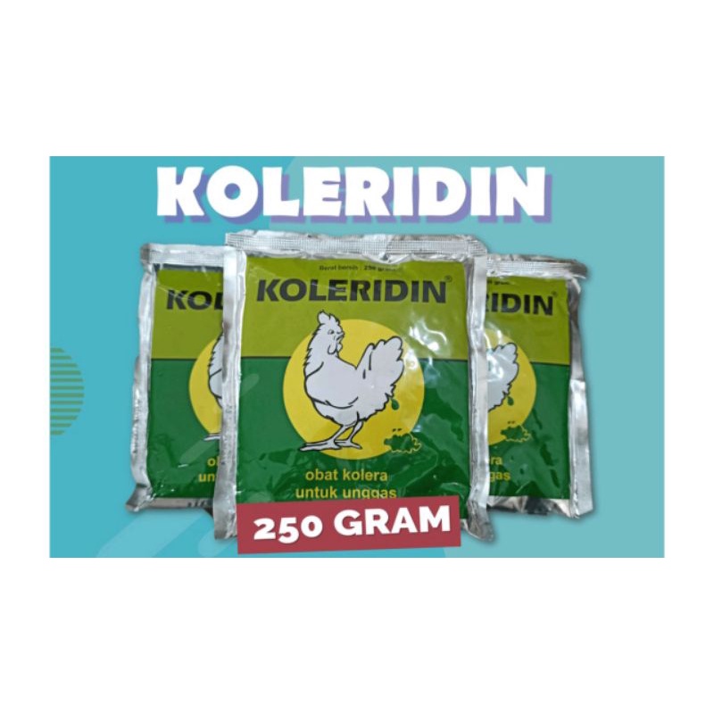 KOLERIDIN 250 Gr. Obat antibiotik hewan | Medion