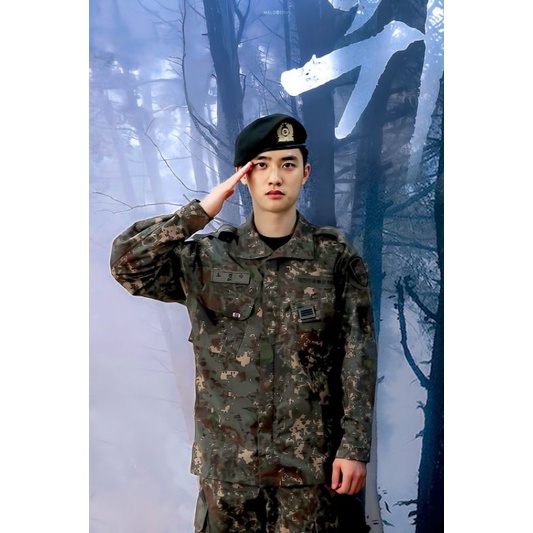 PHOTOCARD UNIVERSE  D.O. EXO