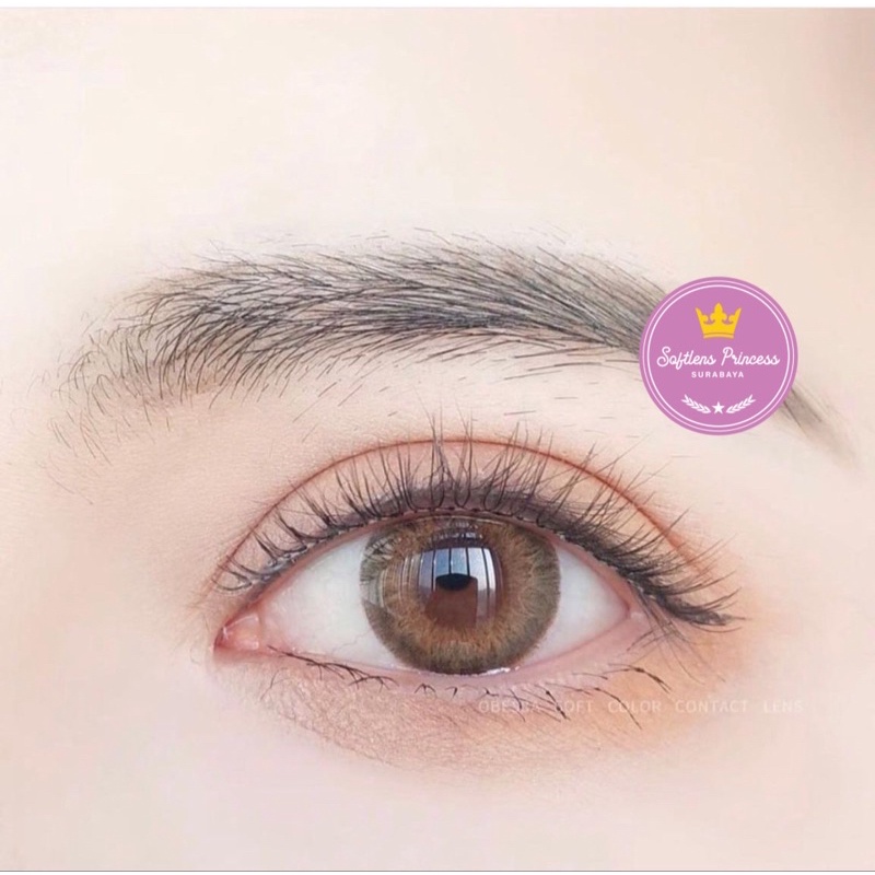 Softlens Mimosa Egypt Brown 14,5mm Normal Beda Minus Lensa Kontak Coklat Arabian Look Free Case SW89