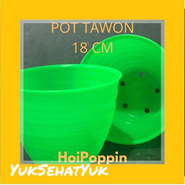 POT TAWON 18 CM - POT HIJAU - POT TAWON HIJAU 18 - POT TANAMAN HIAS