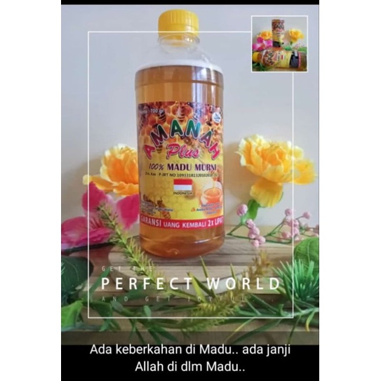 

Madu murni dari lebah malifera