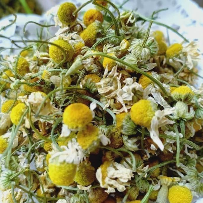 

[[BISA COD]] Teh bunga Camomile / Chamomile Flower Tea 50 gram BERGARANSI Kode 517