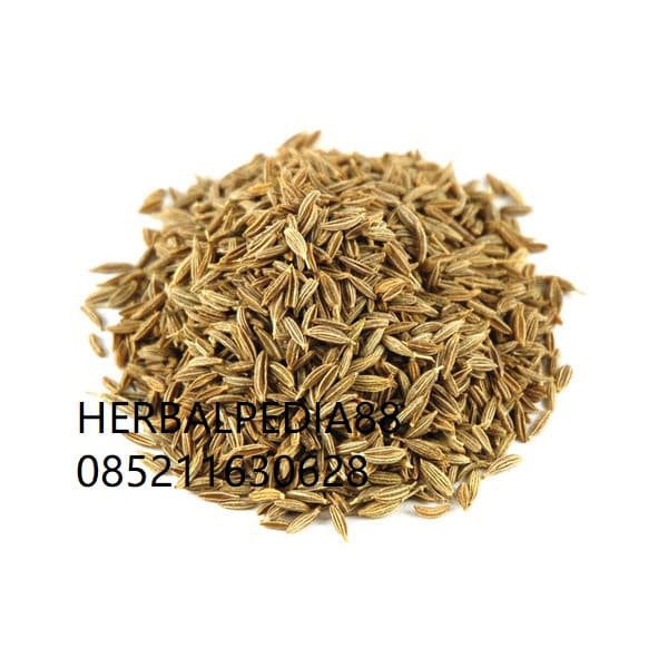

xiao hui xiang 小茴香 Foeniculi Fructus 100 gram