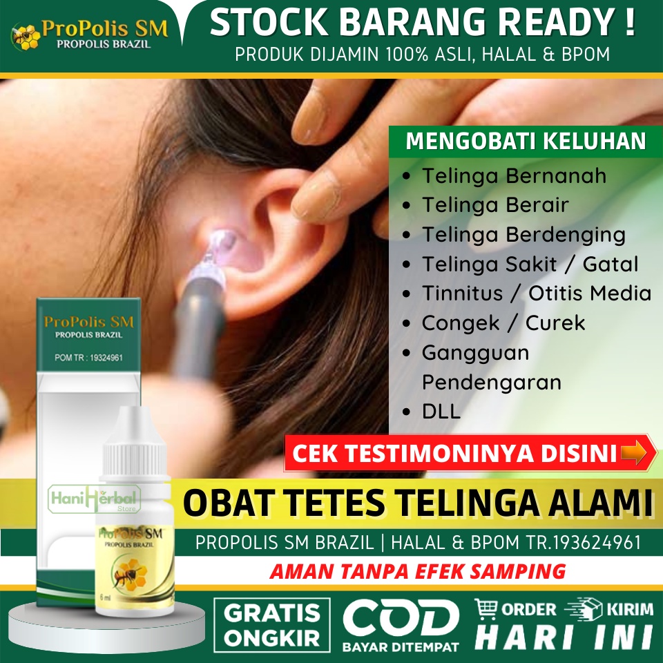 PROPOLIS SM - Obat Telinga Berair dan Bau, Obat Telinga Bernanah, Obat Telinga Mengeluarkan Cairan K