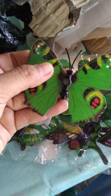 3d (singgle) Butterfly Wall Sticker Dingding Kupu² 3d Dengan Magnet