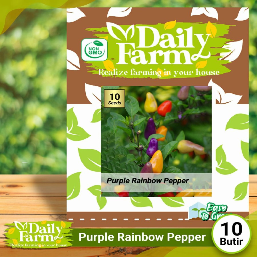 

Cabe Purple Rainbow Pepper - Daily Farm