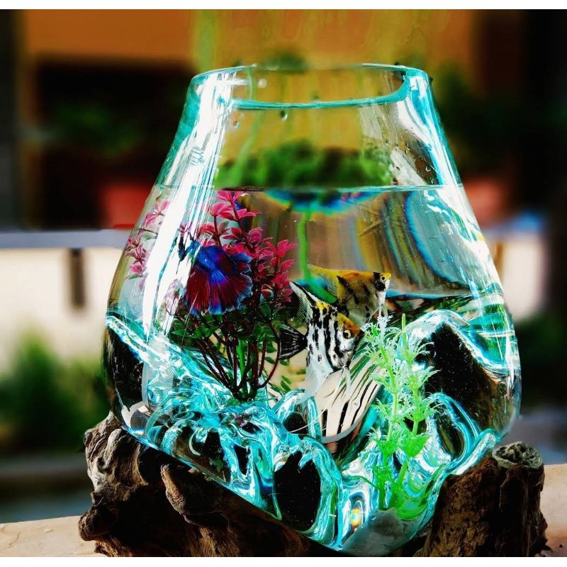 AQUARIUM IKAN CUPANG/AQQUARIUM/zize xxl (18cm)/VAS/POT/AQUASCAPE/KACA TIUP