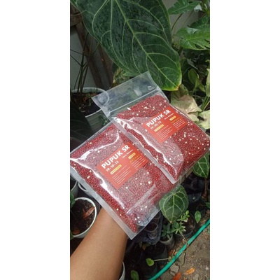 PUPUK DEKASTAR THAILAND/ PUPUK SLOW RELEASE THAILAND / PUPUK AGLONEMA/PUPUK KELADI /PUPUK TANAMAN HI