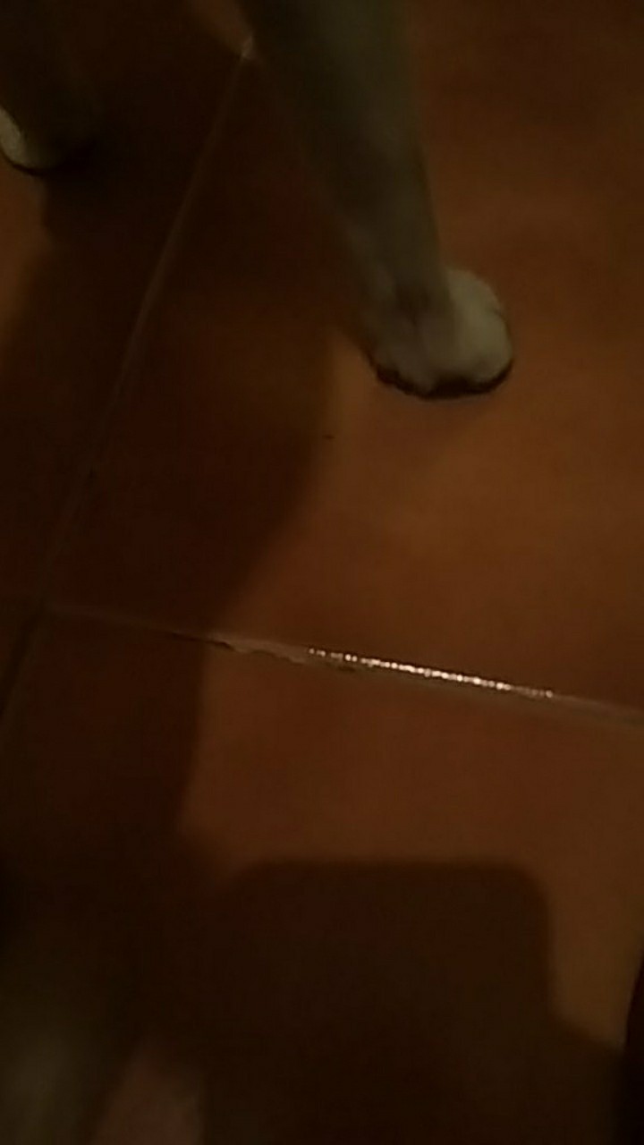 Keripik Kaca 50gram | Keripik Beling | Kripik Kaca | Makanan Pedas | Cemilan | Kripik Beledag