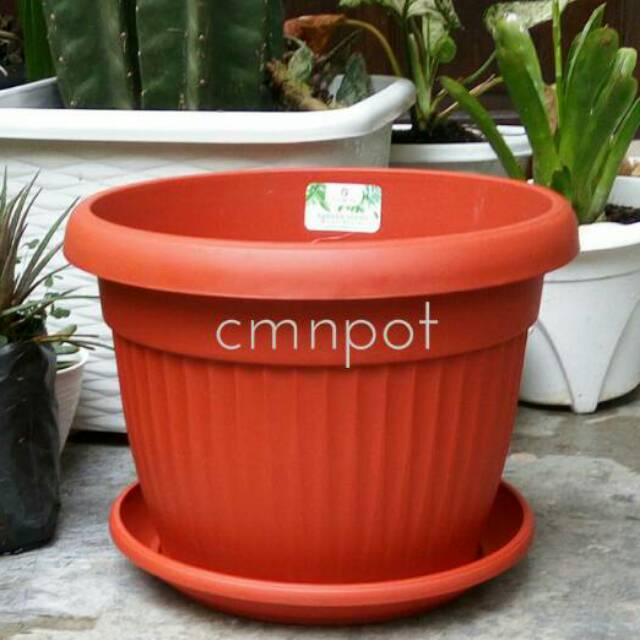  Pot Bunga Claris  Florence 30 dan Tatakan Alas Pot  Shopee 