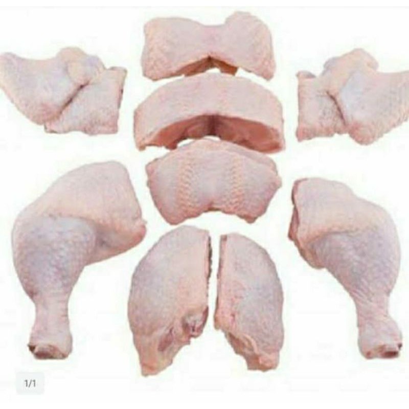 

Biaya potong 4/8/10 dll ayam per ekor