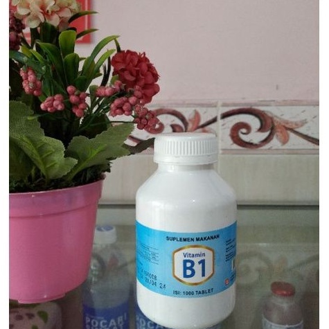 Vitamin B1 isi 1000 tablet