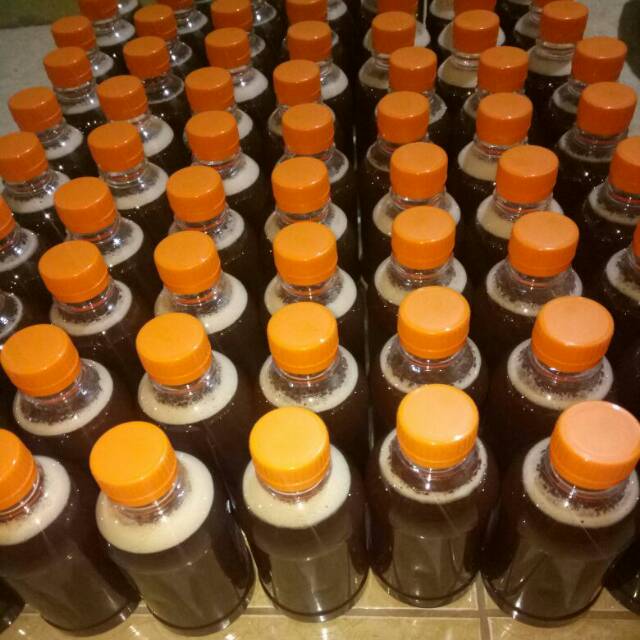 

MADU KLANCENG PAHIT MANIS /madu laeviceps/ MADU TRIGONA
