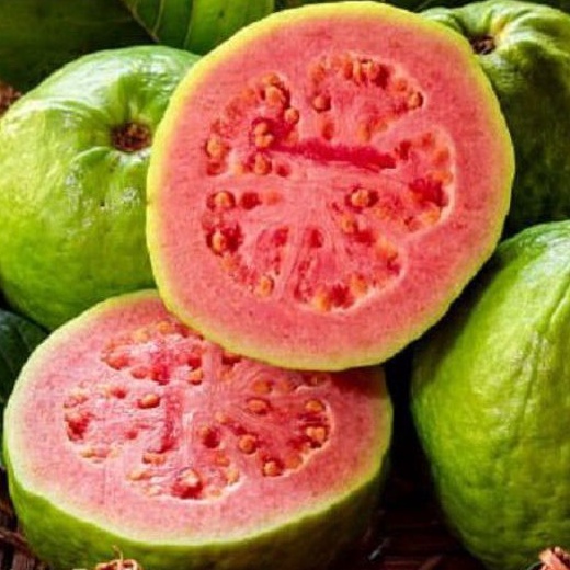 

Buah Jambu Biji Merah Fresh