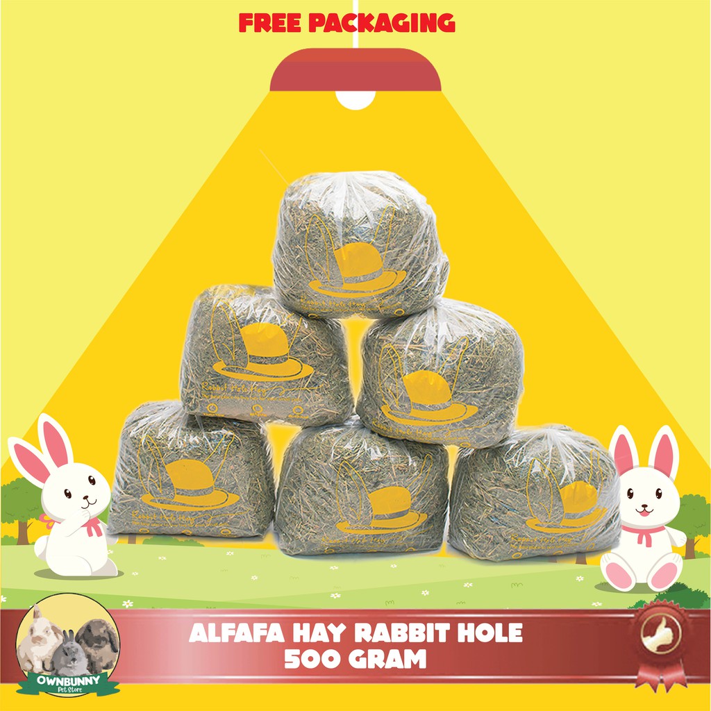 ALFALFA HAY RABBIT HOLE RUMPUT ATAU MAKANAN KELINCI 500 GRAM