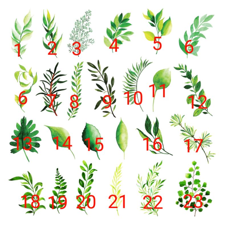 

Sticker Estetik Daun [Cutting]