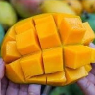 

MANGGA HARUM MANIS TERMURAH- SUKABUAH
