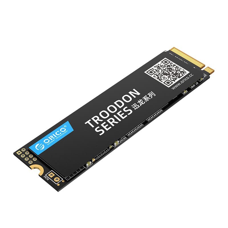 ORICO 512GB SSD M.2 NVMe 2280 TROODON SERIES - V500-512GB Original