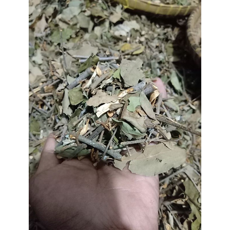 

BENALU KOPI KERING 250 gram