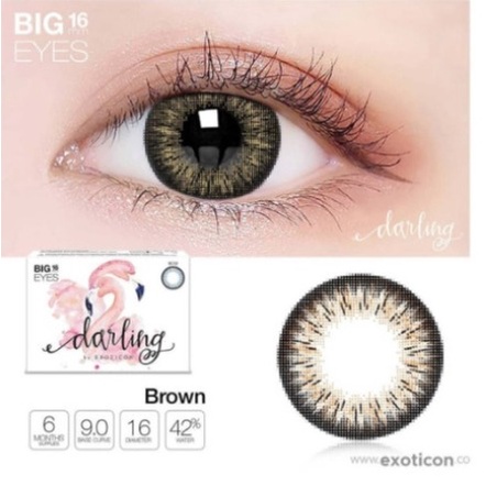 [ 1Kg=25pcs ]  SOFTLEN X2 DARLING NORMAL / SOFTLENS X2 DARLING