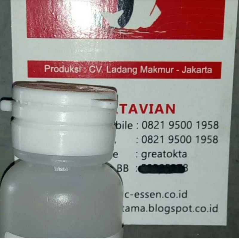 Essen biang semangka