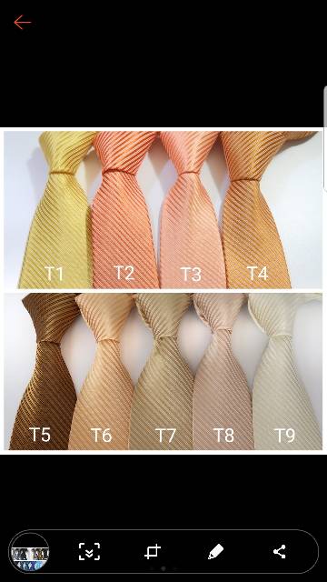 Dasi Pria Dan Penjepit Dasi