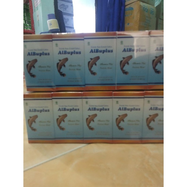 ALBUPLUS kapsul ekstrak ikan gabus/kutuk