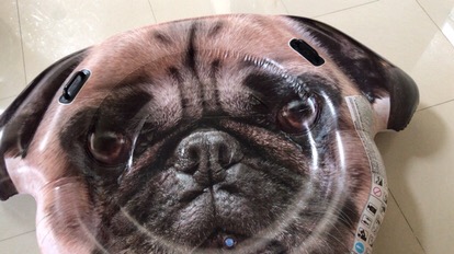 Intex Pug Face Island 58785