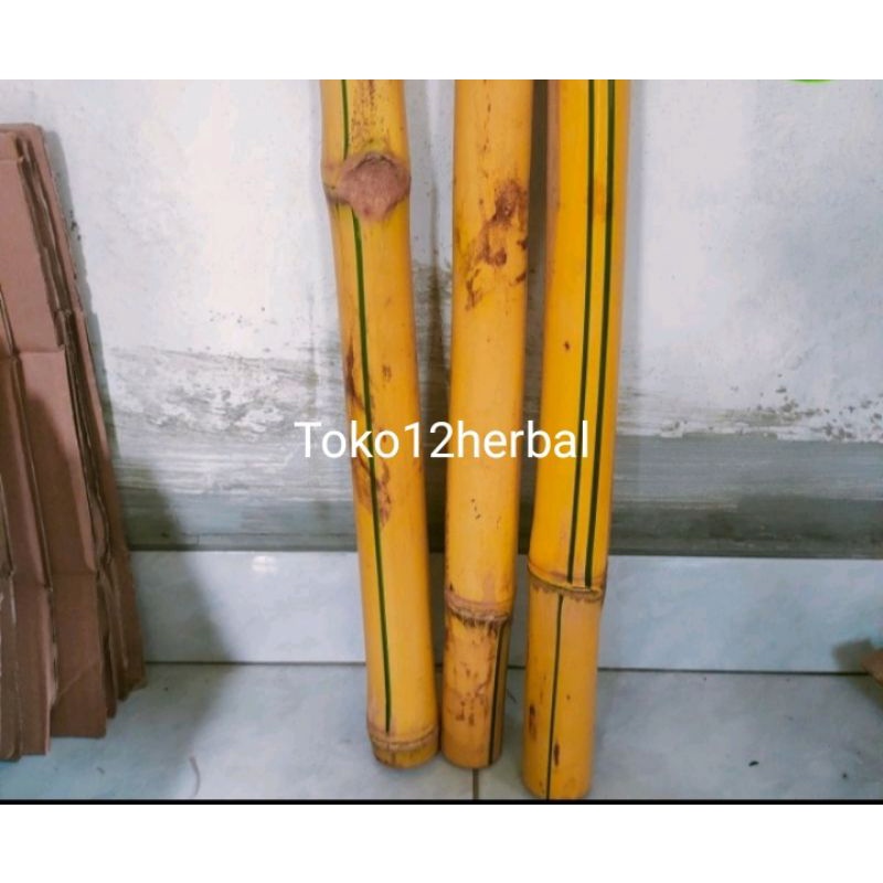 potongan bambu kuning untuk kerajinan