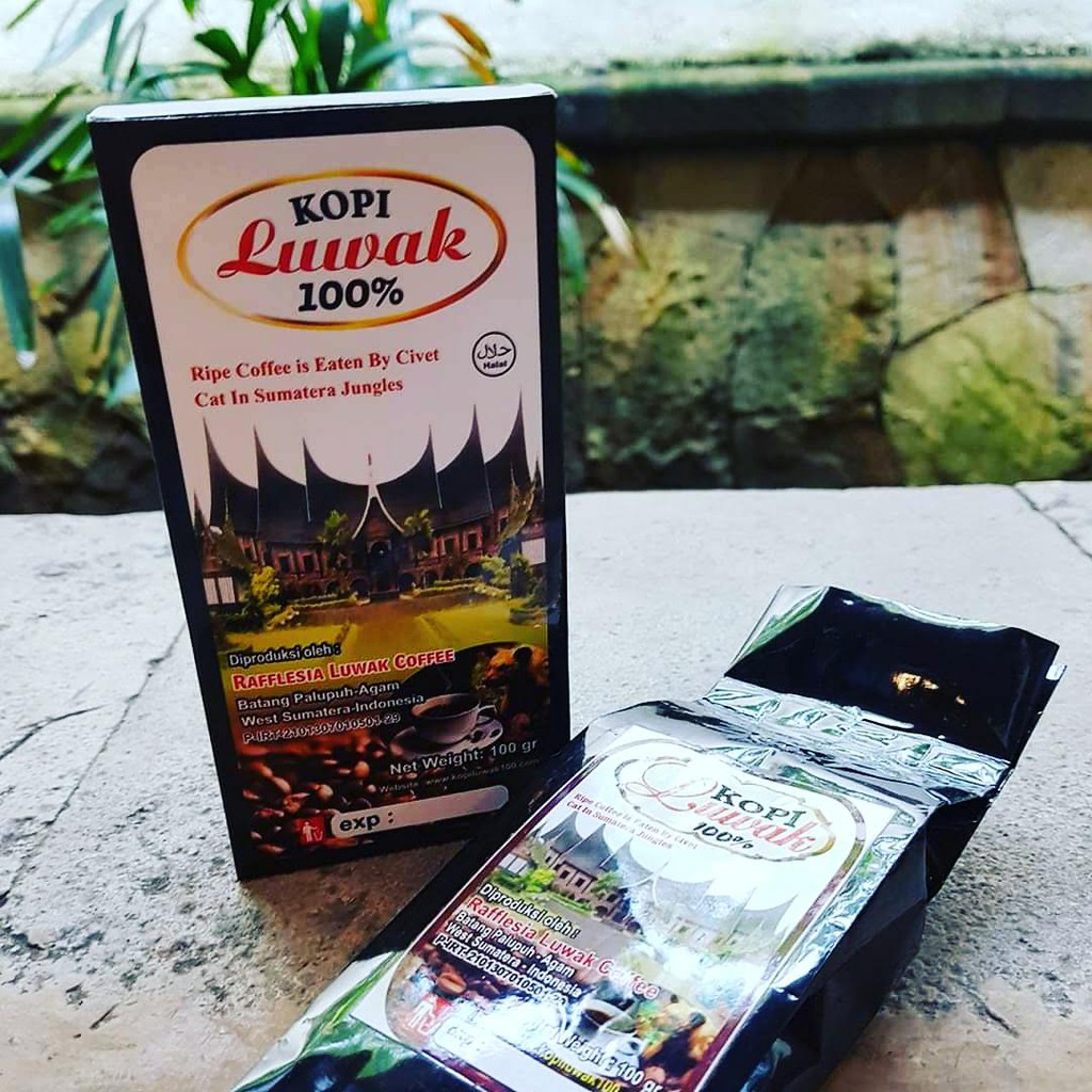 

Rafflesia Luwak Coffee Kopi Luwak 100% dalam 100gram bubuk kopi