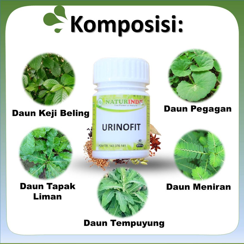 Obat Herbal Infeksi Saluran Kemih Kencing Sakit Beser Anyang Anyangan Ngompol Paket Herbal Alami COD-3