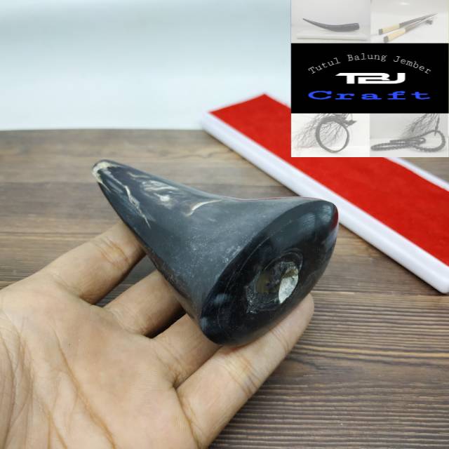 Pipa Once TANDUK KERBAU HITAM UNIK TBJcraft