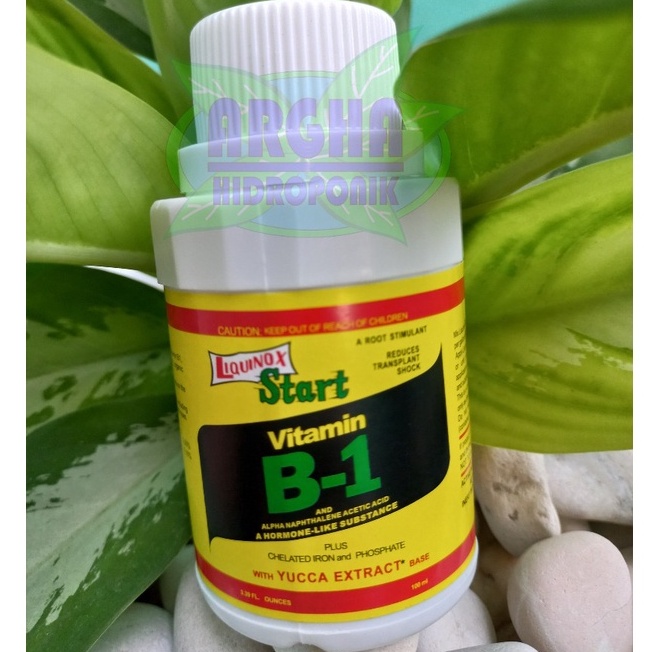 Jual Vitamin B1 Tanaman 100ML Liquinox Original Anti Stres Tanaman ...