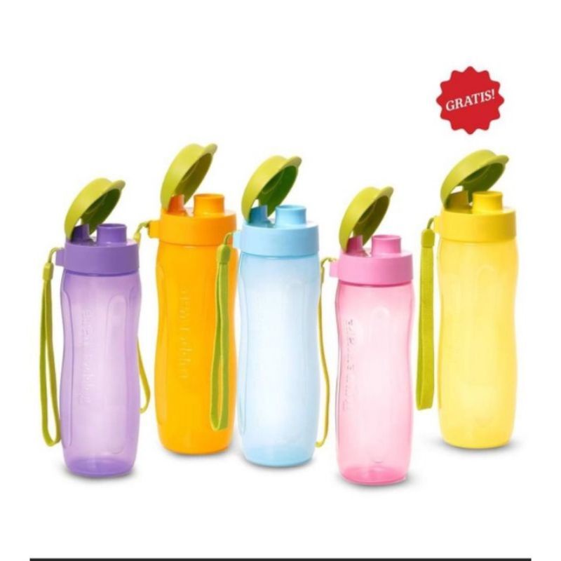 Eco Fashion Bottle 500ml Set / Tupperware