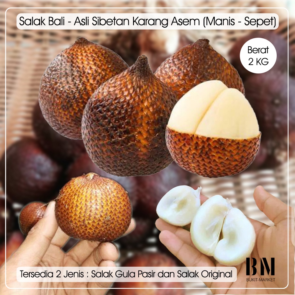 

Salak Bali Buah Gula Pasir Asli Super Kualitas Kelas 1 Manis Asam Sepet Fresh Premium Ukuran Jumbo Kecil Sedang Gede Size Mix 500 Gram 2 3 Kg Karangasem Selat Sibetan