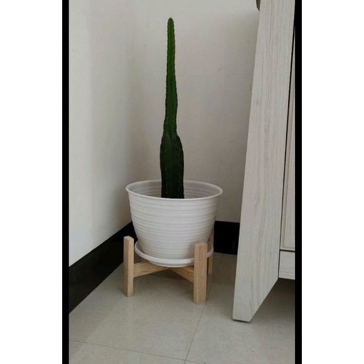 Standing planter diameter 30cm