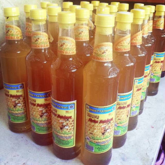 

Madu hutan sumbawa
