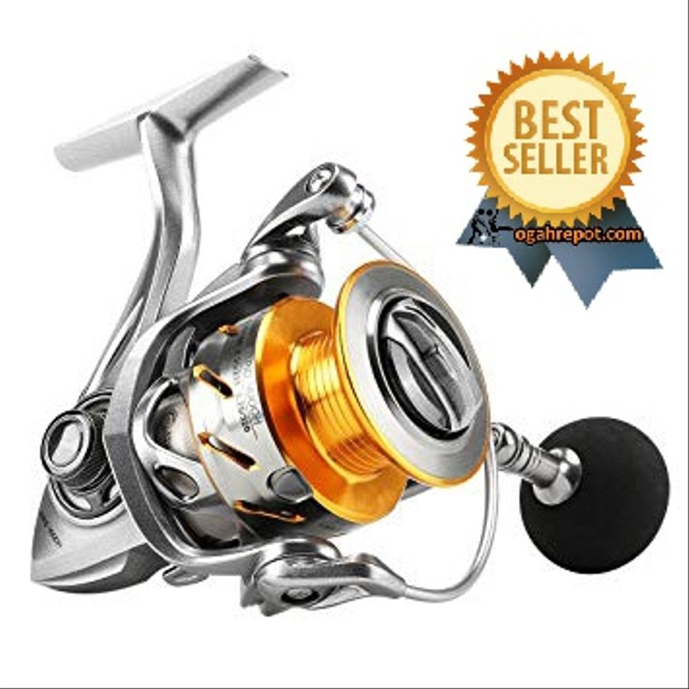 Order Langsung Seaknight Rapid 6000 Spinning Reel Pancing 11 Ball Bearing - R0819 Diskon