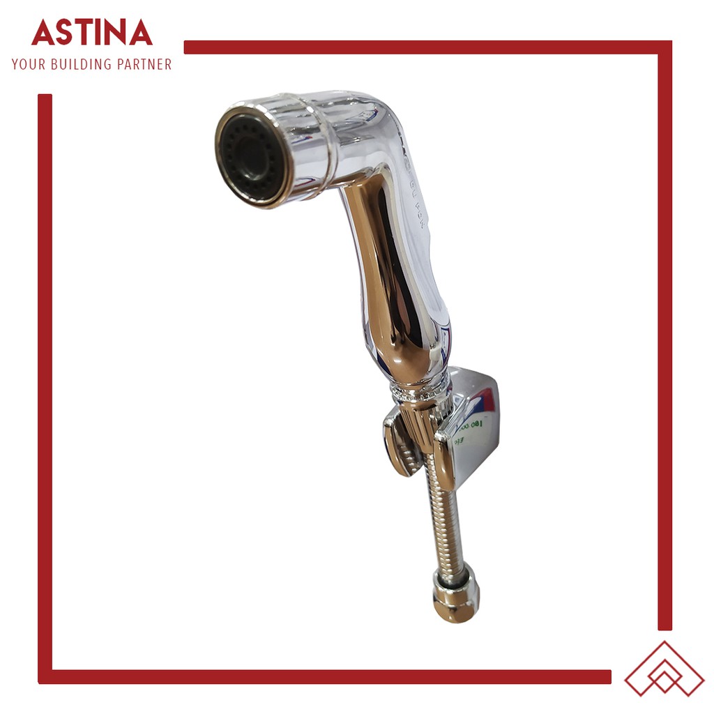 Toilet Shower / Jet Shower Stainless Steel Dupon 501G