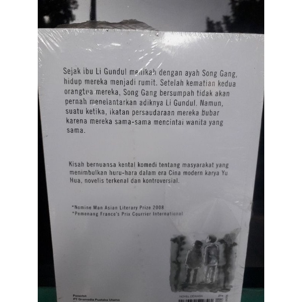 novel dewasa yu hua brothers (dua bersaudara)