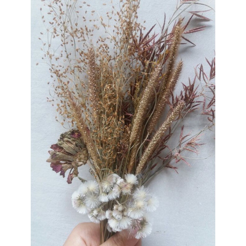 Dried Flower | Bunga Kering | Wildery Grass | Pressed Flower