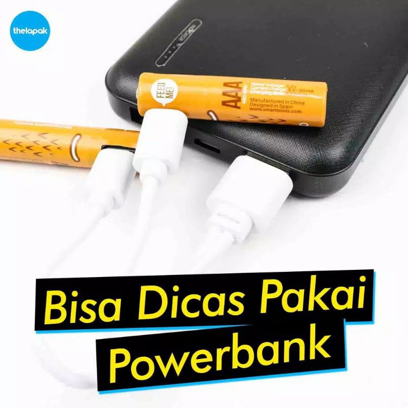 MICROBATT Baterai Cas AAA Micro USB 450mAh isi 2pcs