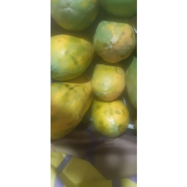 

Pepaya/Papaya California
